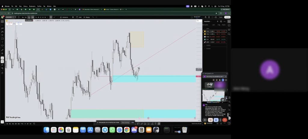 Trader walking through their TradingView chart setup during a research call