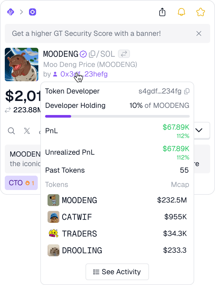Token developer details in the desktop dropdown