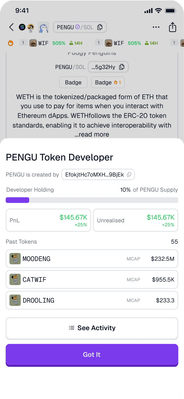 Token developer details on the mobile screen