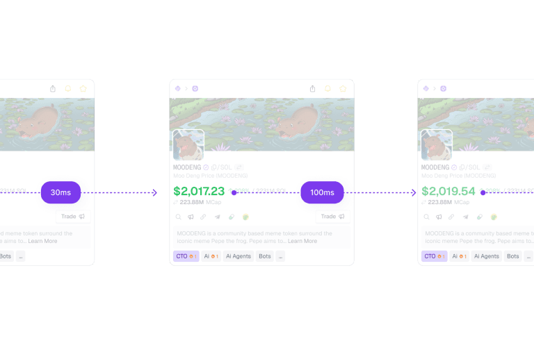 Project summary 3